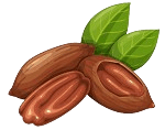 Pecan_BG-removebg