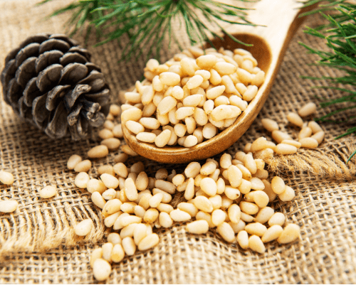 PineSeeds