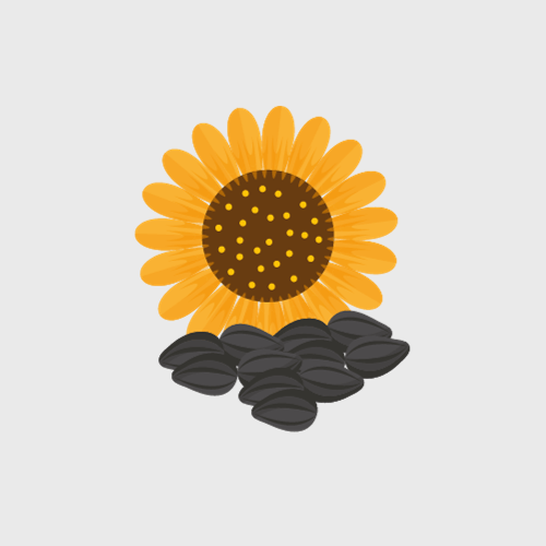 Sunflower seeds